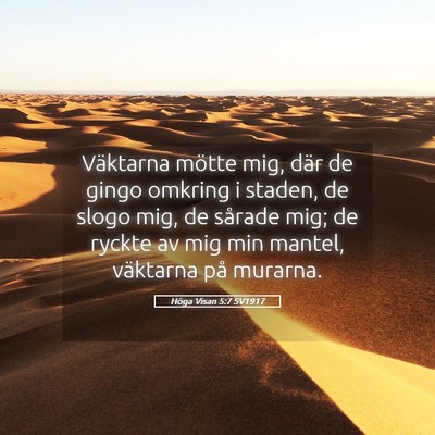 Picture 05 - Höga Visan 5:7 SV1917 - Väktarna mötte mig, där de gingo omkring i - Bible Verse Picture
