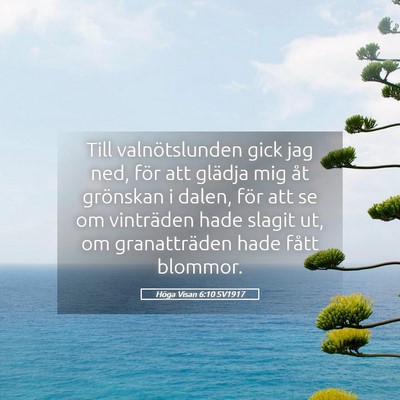 Picture 05 - Höga Visan 6:10 SV1917 - Till valnötslunden gick jag ned, för att - Bible Verse Picture