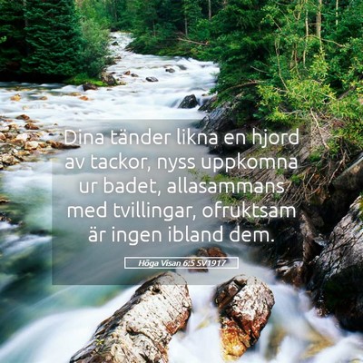 Picture 05 - Höga Visan 6:5 SV1917 - Dina tänder likna en hjord av tackor, nyss - Bible Verse Picture
