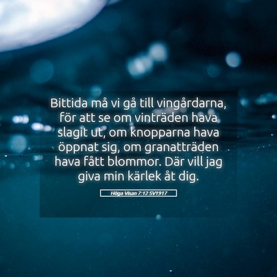 Picture 05 - Höga Visan 7:12 SV1917 - Bittida må vi gå till vingårdarna, för att se - Bible Verse Picture
