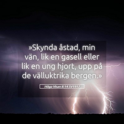 Picture 05 - Höga Visan 8:14 SV1917 - »Skynda åstad, min vän, lik en gasell eller - Bible Verse Picture