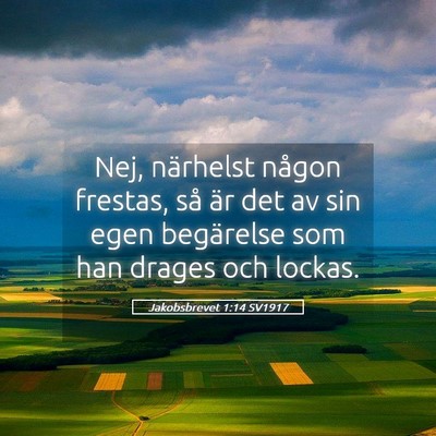 Picture 05 - Jakobsbrevet 1:14 SV1917 - Nej, närhelst någon frestas, så är det av sin - Bible Verse Picture
