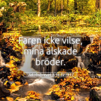 Picture 05 - Jakobsbrevet 1:16 SV1917 - Faren icke vilse, mina älskade - Bible Verse Picture