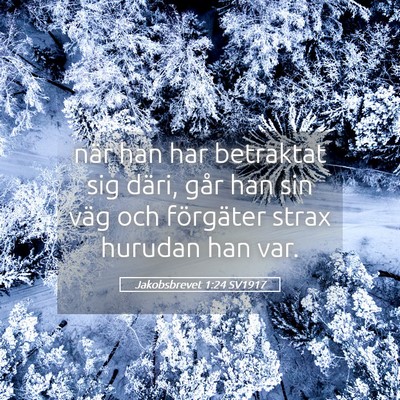 Picture 05 - Jakobsbrevet 1:24 SV1917 - när han har betraktat sig däri, går han sin - Bible Verse Picture