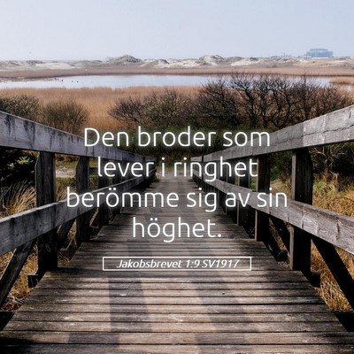Picture 05 - Jakobsbrevet 1:9 SV1917 - Den broder som lever i ringhet berömme sig av - Bible Verse Picture