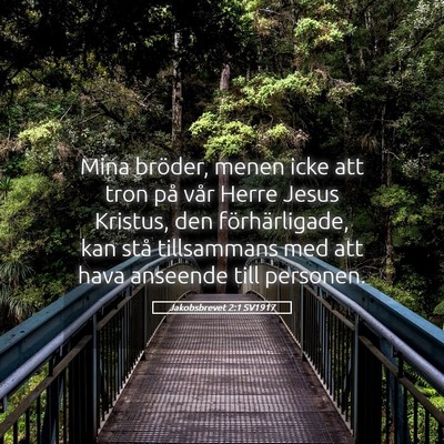 Picture 05 - Jakobsbrevet 2:1 SV1917 - Mina bröder, menen icke att tron på vår Herre - Bible Verse Picture