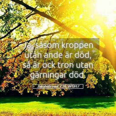Picture 05 - Jakobsbrevet 2:26 SV1917 - Ja, såsom kroppen utan ande är död, så är - Bible Verse Picture