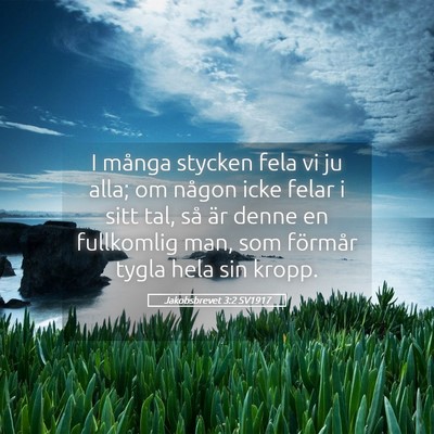 Picture 05 - Jakobsbrevet 3:2 SV1917 - I många stycken fela vi ju alla; om någon icke - Bible Verse Picture