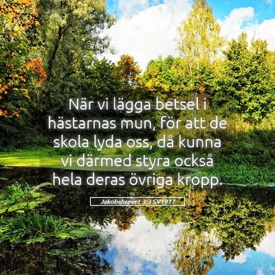 Picture 05 - Jakobsbrevet 3:3 SV1917 - När vi lägga betsel i hästarnas mun, för att - Bible Verse Picture