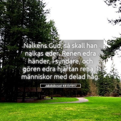Picture 05 - Jakobsbrevet 4:8 SV1917 - Nalkens Gud, så skall han nalkas eder. Renen - Bible Verse Picture