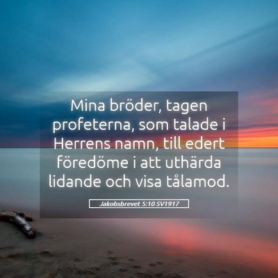 Picture 05 - Jakobsbrevet 5:10 SV1917 - Mina bröder, tagen profeterna, som talade i - Bible Verse Picture