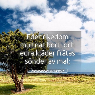 Picture 05 - Jakobsbrevet 5:2 SV1917 - Eder rikedom multnar bort, och edra kläder - Bible Verse Picture