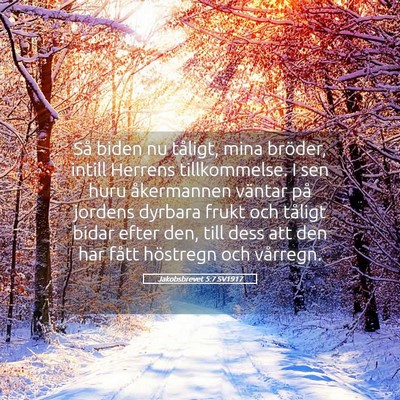 Picture 05 - Jakobsbrevet 5:7 SV1917 - Så biden nu tåligt, mina bröder, intill - Bible Verse Picture
