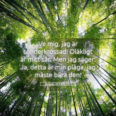 Picture 05 - Jeremia 10:19 SV1917 - Ve mig, jag är sönderkrossad! Oläkligt är - Bible Verse Picture