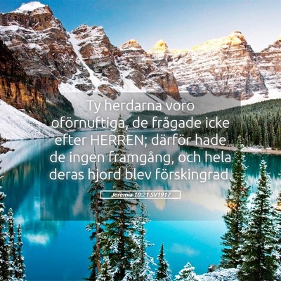 Picture 05 - Jeremia 10:21 SV1917 - Ty herdarna voro oförnuftiga, de frågade icke - Bible Verse Picture