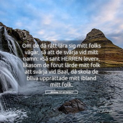 Picture 05 - Jeremia 12:16 SV1917 - Om de då rätt lära sig mitt folks vägar, så - Bible Verse Picture
