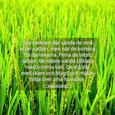 Picture 05 - Jeremia 14:3 SV1917 - Stormännen där sända de små efter vatten, men - Bible Verse Picture