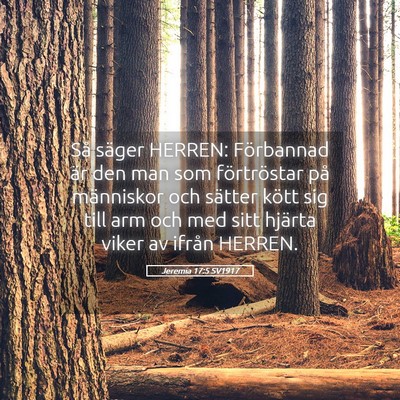Picture 05 - Jeremia 17:5 SV1917 - Så säger HERREN: Förbannad är den man som - Bible Verse Picture