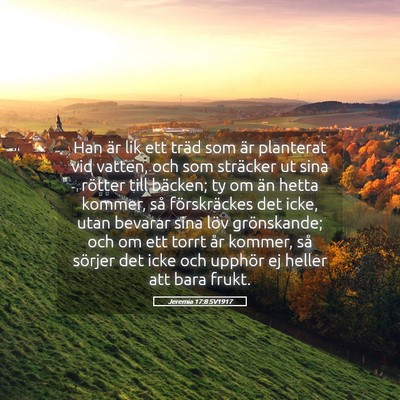 Picture 05 - Jeremia 17:8 SV1917 - Han är lik ett träd som är planterat vid - Bible Verse Picture