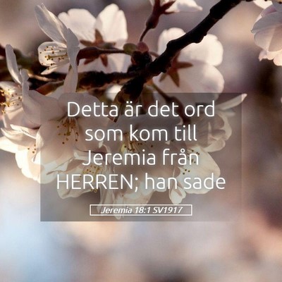 Picture 05 - Jeremia 18:1 SV1917 - Detta är det ord som kom till Jeremia från - Bible Verse Picture