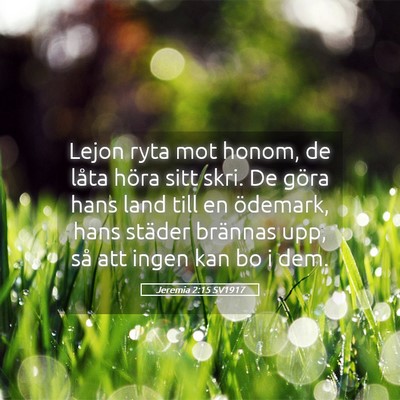 Picture 05 - Jeremia 2:15 SV1917 - Lejon ryta mot honom, de låta höra sitt skri. - Bible Verse Picture