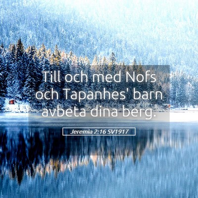 Picture 05 - Jeremia 2:16 SV1917 - Till och med Nofs och Tapanhes' barn avbeta dina - Bible Verse Picture