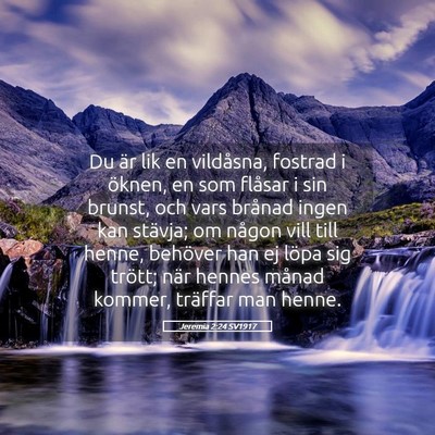 Picture 05 - Jeremia 2:24 SV1917 - Du är lik en vildåsna, fostrad i öknen, en som - Bible Verse Picture