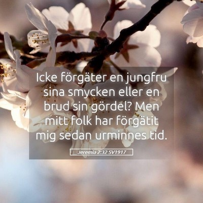 Picture 05 - Jeremia 2:32 SV1917 - Icke förgäter en jungfru sina smycken eller en - Bible Verse Picture