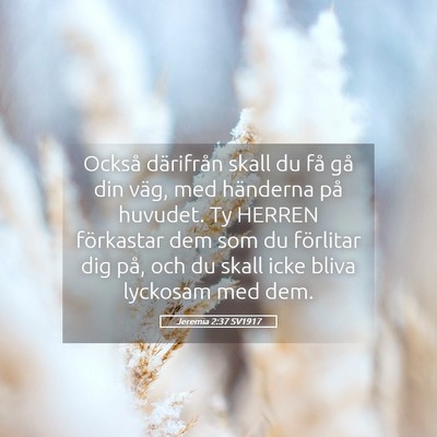 Picture 05 - Jeremia 2:37 SV1917 - Också därifrån skall du få gå din väg, med - Bible Verse Picture