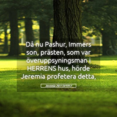 Picture 05 - Jeremia 20:1 SV1917 - Då nu Pashur, Immers son, prästen, som var - Bible Verse Picture