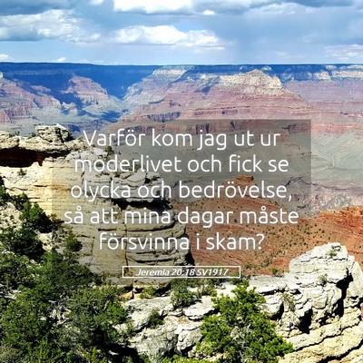 Picture 05 - Jeremia 20:18 SV1917 - Varför kom jag ut ur moderlivet och fick se - Bible Verse Picture