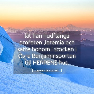 Picture 05 - Jeremia 20:2 SV1917 - lät han hudflänga profeten Jeremia och satte - Bible Verse Picture
