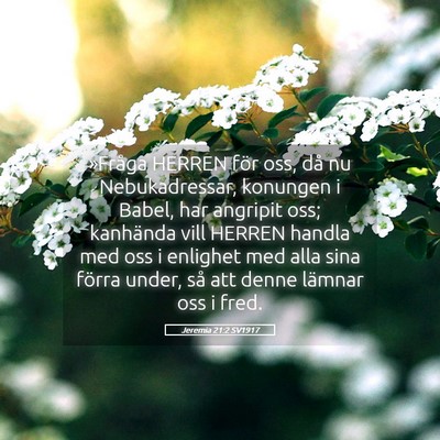 Picture 05 - Jeremia 21:2 SV1917 - »Fråga HERREN för oss, då nu Nebukadressar, - Bible Verse Picture