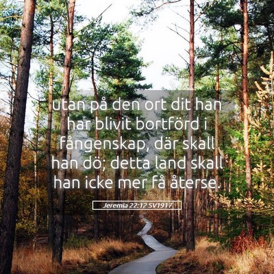 Picture 05 - Jeremia 22:12 SV1917 - utan på den ort dit han har blivit bortförd i - Bible Verse Picture