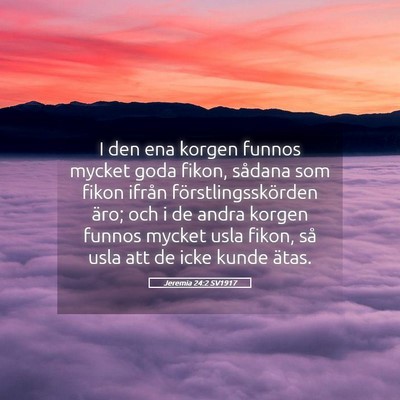 Picture 05 - Jeremia 24:2 SV1917 - I den ena korgen funnos mycket goda fikon, - Bible Verse Picture
