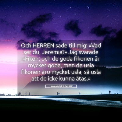 Picture 05 - Jeremia 24:3 SV1917 - Och HERREN sade till mig: »Vad ser du, - Bible Verse Picture