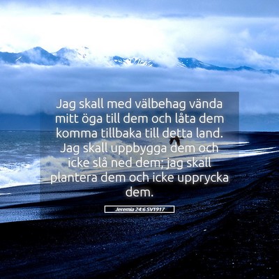 Picture 05 - Jeremia 24:6 SV1917 - Jag skall med välbehag vända mitt öga till dem - Bible Verse Picture