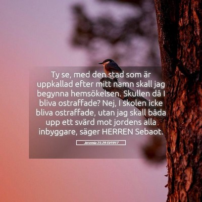 Picture 05 - Jeremia 25:29 SV1917 - Ty se, med den stad som är uppkallad efter mitt - Bible Verse Picture