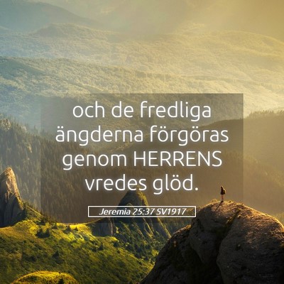 Picture 05 - Jeremia 25:37 SV1917 - och de fredliga ängderna förgöras genom - Bible Verse Picture