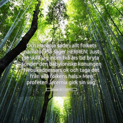 Picture 05 - Jeremia 28:11 SV1917 - Och Hananja sade i allt folkets närvaro: »Så - Bible Verse Picture