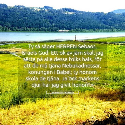 Picture 05 - Jeremia 28:14 SV1917 - Ty så säger HERREN Sebaot, Israels Gud: Ett ok - Bible Verse Picture