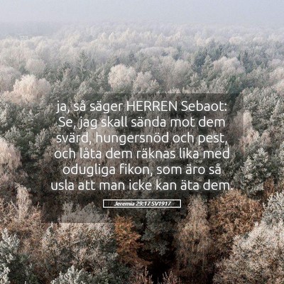 Picture 05 - Jeremia 29:17 SV1917 - ja, så säger HERREN Sebaot: Se, jag skall - Bible Verse Picture