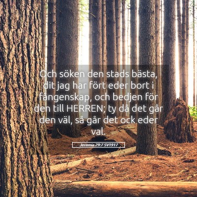 Picture 05 - Jeremia 29:7 SV1917 - Och söken den stads bästa, dit jag har fört - Bible Verse Picture
