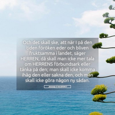 Picture 05 - Jeremia 3:16 SV1917 - Och det skall ske, att när I på den tiden - Bible Verse Picture