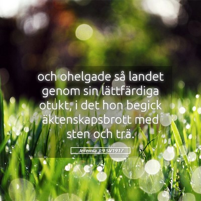 Picture 05 - Jeremia 3:9 SV1917 - och ohelgade så landet genom sin lättfärdiga - Bible Verse Picture