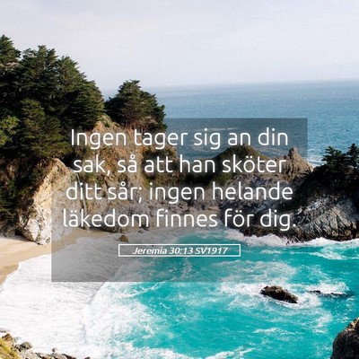 Picture 05 - Jeremia 30:13 SV1917 - Ingen tager sig an din sak, så att han sköter - Bible Verse Picture
