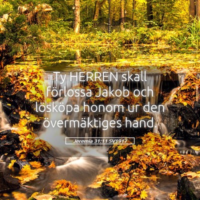 Picture 05 - Jeremia 31:11 SV1917 - Ty HERREN skall förlossa Jakob och lösköpa - Bible Verse Picture