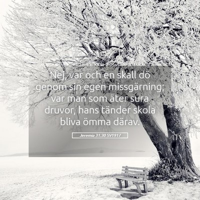 Picture 05 - Jeremia 31:30 SV1917 - Nej, var och en skall dö genom sin egen - Bible Verse Picture