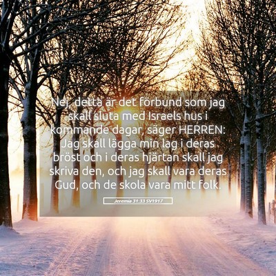Picture 05 - Jeremia 31:33 SV1917 - Nej, detta är det förbund som jag skall sluta - Bible Verse Picture