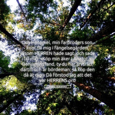 Picture 05 - Jeremia 32:8 SV1917 - Och Hanamel, min farbroders son, kom till mig i - Bible Verse Picture